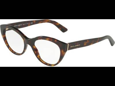 Dolce & Gabbana DG3246 502