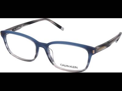 Calvin Klein CK6007 466